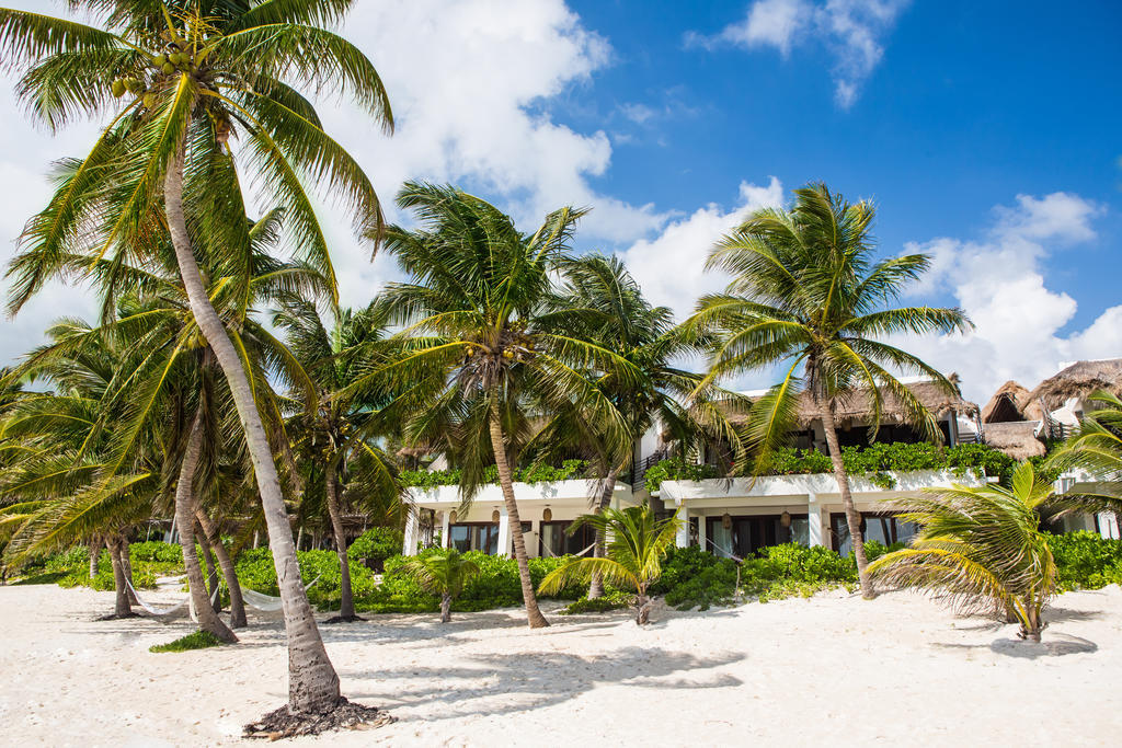 The Beach Tulum Hotel Dış mekan fotoğraf