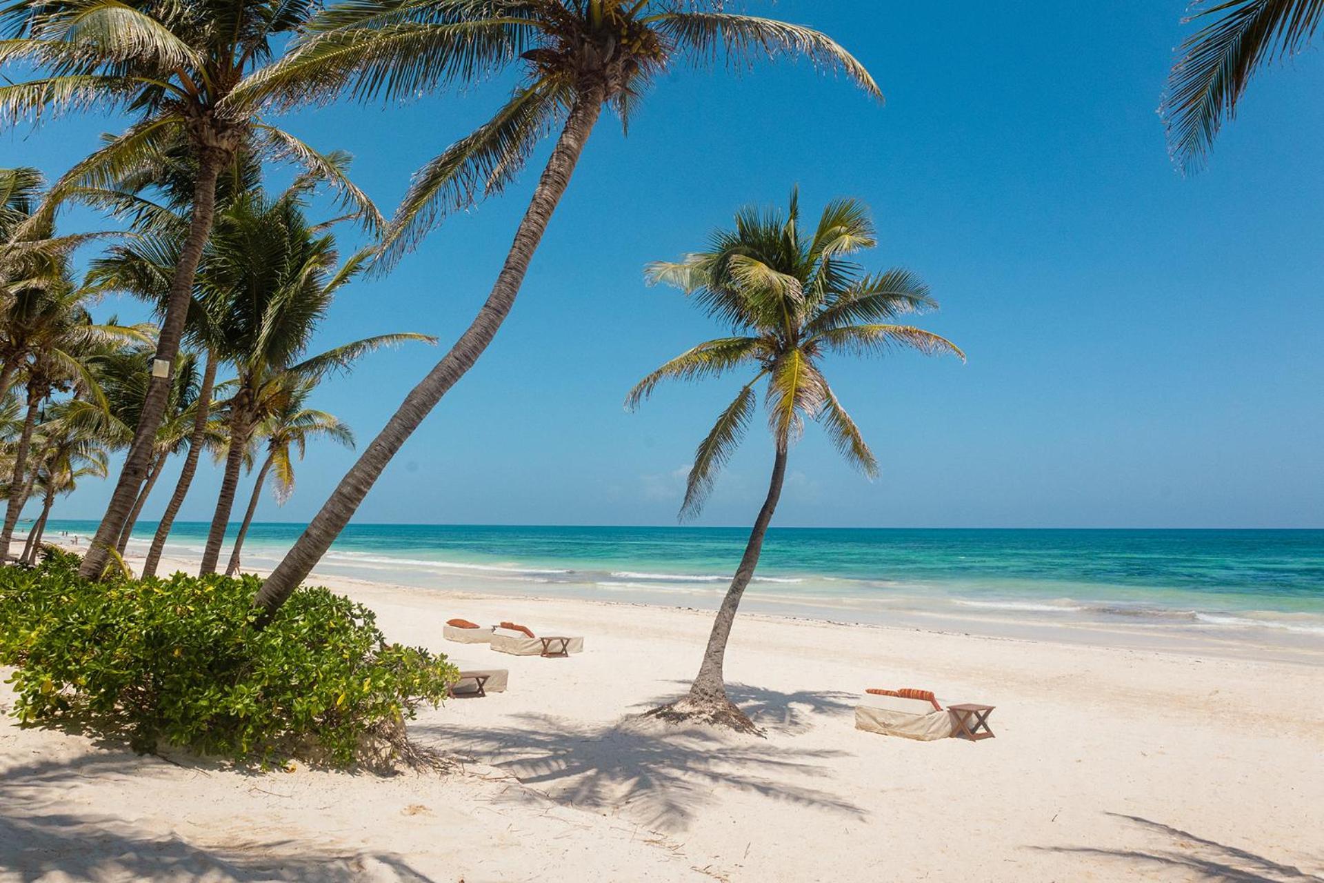 The Beach Tulum Hotel Dış mekan fotoğraf