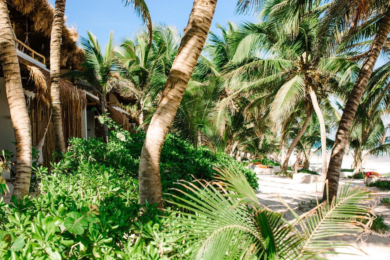 The Beach Tulum Hotel Dış mekan fotoğraf